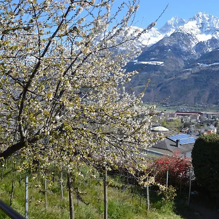 Appartement La Casa Nella Vigna *