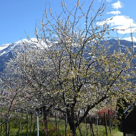 La Casa Nella Vigna
